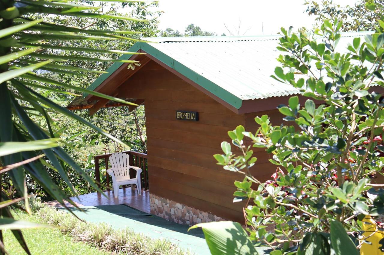 Eco Granja Don Lolo Villa Quesada  Eksteriør bilde