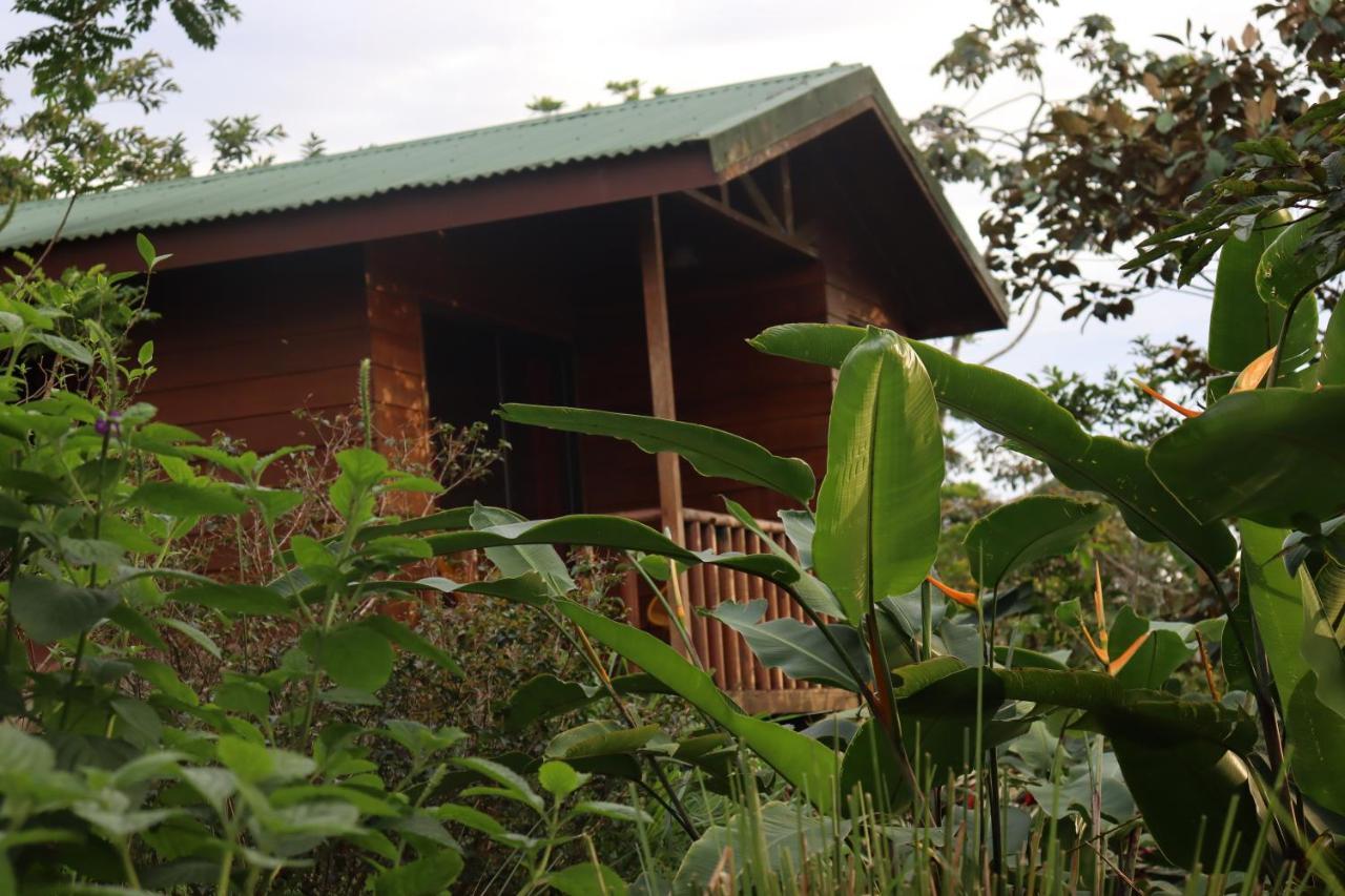 Eco Granja Don Lolo Villa Quesada  Eksteriør bilde