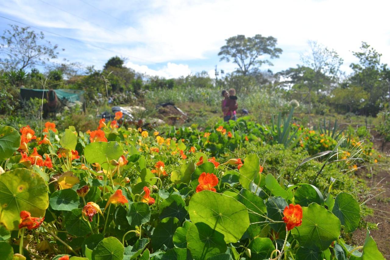 Eco Granja Don Lolo Villa Quesada  Eksteriør bilde