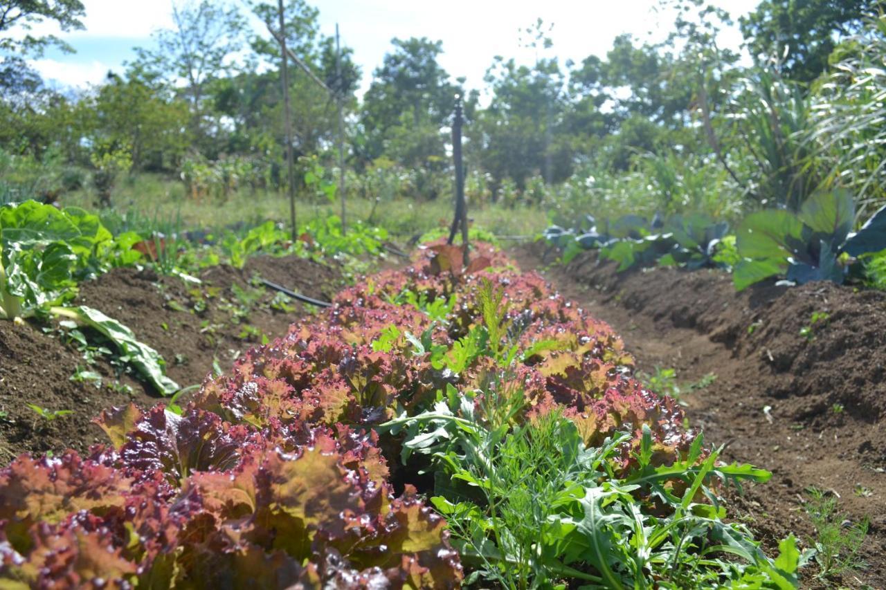 Eco Granja Don Lolo Villa Quesada  Eksteriør bilde
