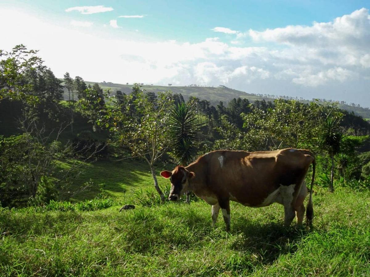 Eco Granja Don Lolo Villa Quesada  Eksteriør bilde